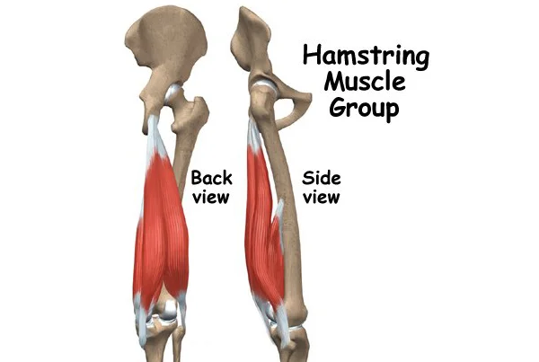 Pulled Hamstring